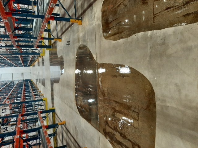 Gallery image 11