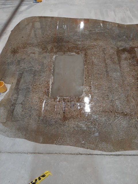 Gallery image 16