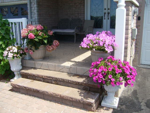 Gallery image 18