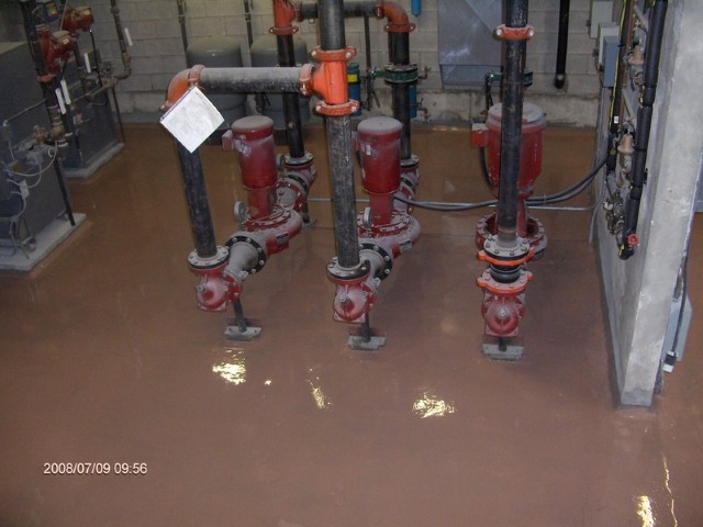Gallery image 14